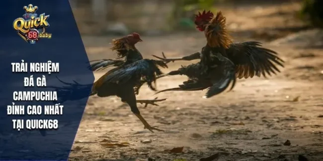 Đá gà Campuchia