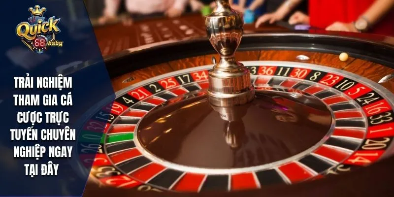Trải nghiệm tham gia cá cược trực tuyến chuyên nghiệp ngay tại đây